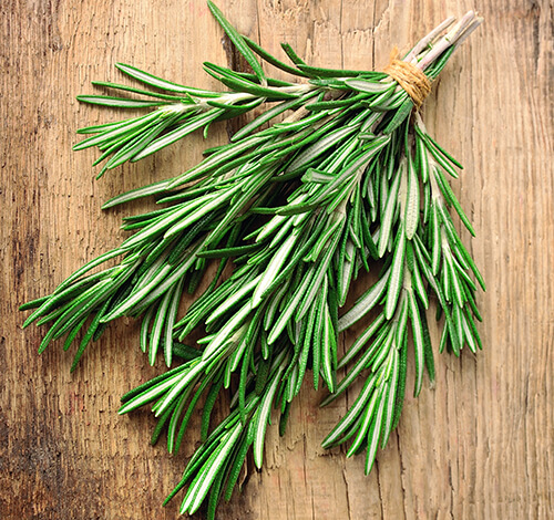 Brots aromàtics ecològics