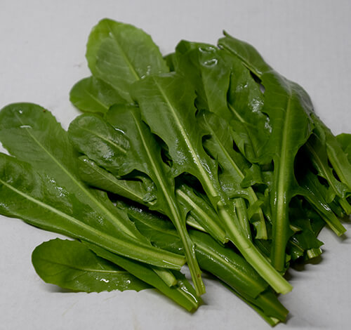 Brots d'amanida ecològics