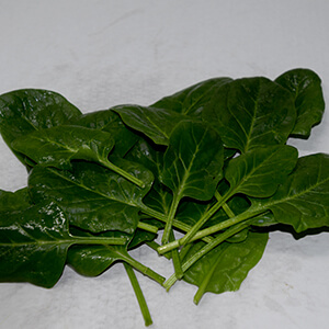 Brots d'amanida ecològics
