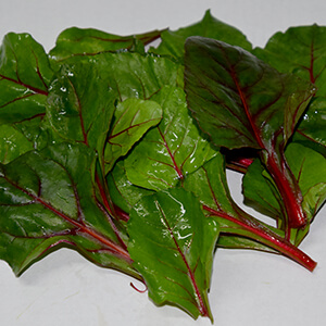 Brots Tendres i Saludables