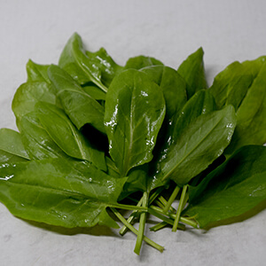 Agrella vermella i verda