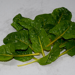 Bleda groga i vermella